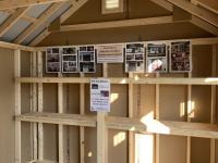 10x16 Cape Cod Storage Shed with shelves built inside from Pine Creek Structures